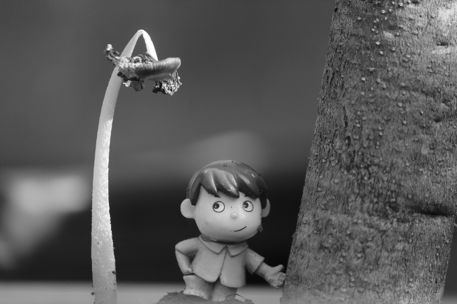 Why Animated Family Films Are Loved Across Generations